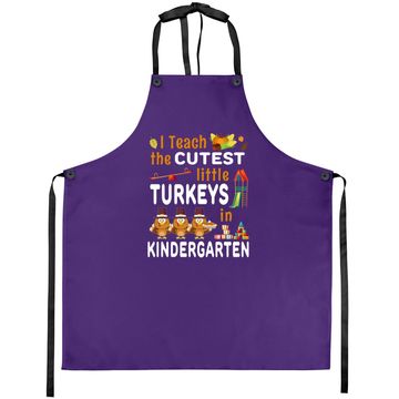 Discover Turkey Kindergarten Teacher Thanksgiving Apron