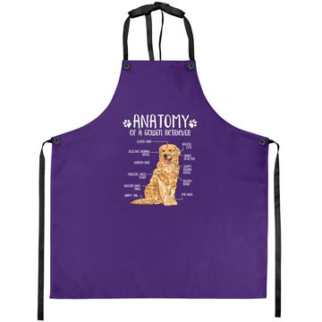 Discover Anatomy Golden Retriever Dog Apron
