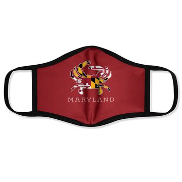Discover Maryland State Flag Classy Face Mask