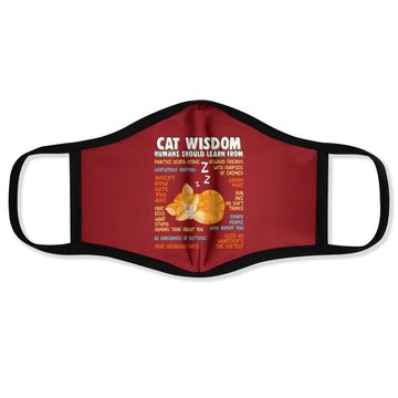Discover Cat Wisdom Human Should Learn From Face Mask