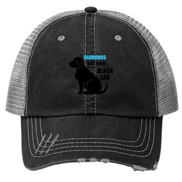 Discover Black Lab Trucker Hat