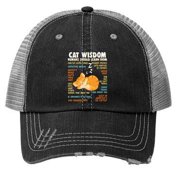 Discover Cat Wisdom Human Should Learn From Trucker Hat