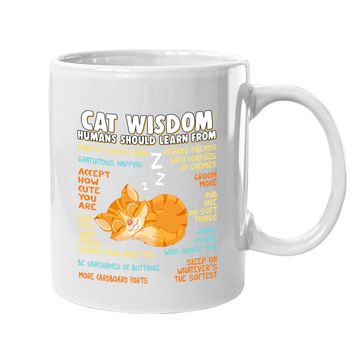 Discover Cat Wisdom Human Should Learn From Coffee Mug