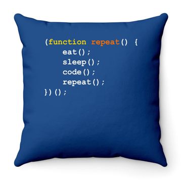 Discover Computer Science Programmer Eat Sleep Code Throw Pillow