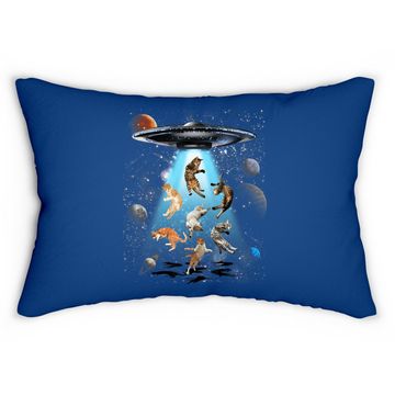 Discover Galaxy Cat Ufo Lumbar Pillow