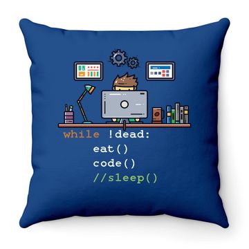 Discover Computer Science Python Programmer Eat Code Sleep Throw Pillow