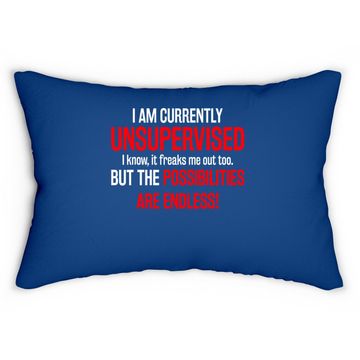 Discover I Am Currently Unsupervised Lumbar Pillow