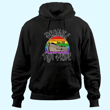 Discover Noah's Ark Genesis 9:13 Rainbow God's Promise Not Pride Hoodie