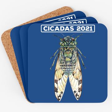 Discover Cicada 2021 Coaster