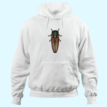 Discover Cicada 2021 Men's Hoodie