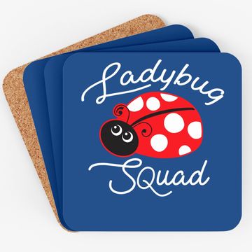 Discover Ladybug Squad Coaster