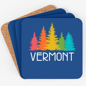 Discover Vermont Coaster