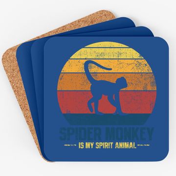Discover Spider Monkey Vintage Coaster