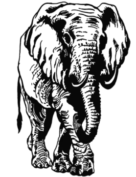 Explore Black Ideas