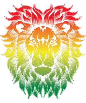 Explore Lion Ideas