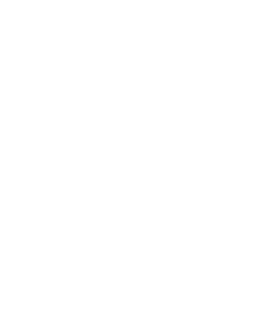 Customize
