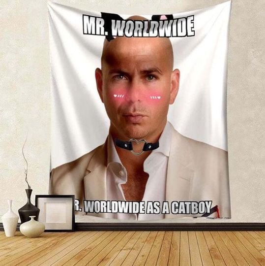 Mr. Worldwide Tapestry Meme Wall Tapestries Hostel Dorm Decor Funny Wall Hanging Pitbull Tapestry Wall Hanging Home Art Decor