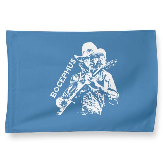 Hank Williams Jr Vintage Country Music Sr. Outlaw 70s 80s Rock House Flags