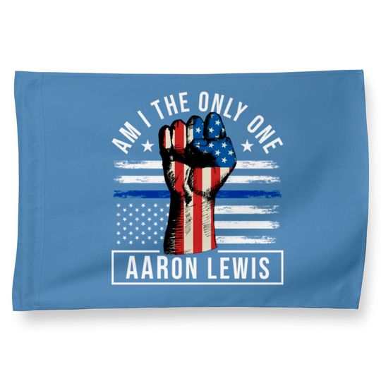 Am I The Only One , Aaron Lewis House Flags