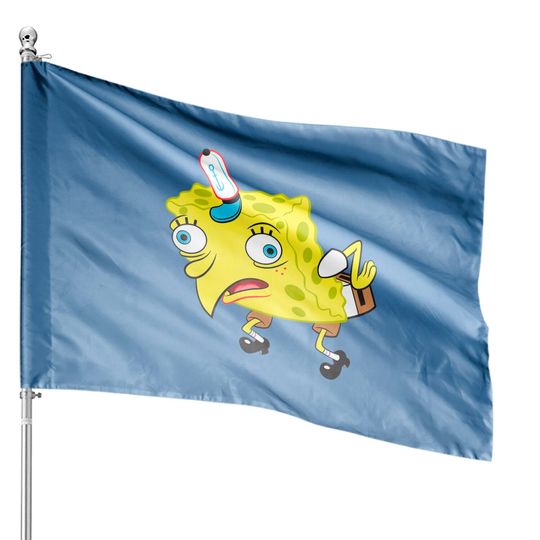 Spongebob Meme Isn't Even House Flag
