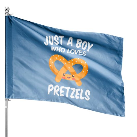 Just A Boy Who Loves Pretzels House Flags