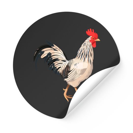 Realistic rooster Stickers