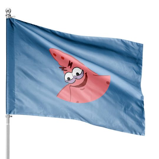 Evil Patrick Meme - Patrick Star - House Flags