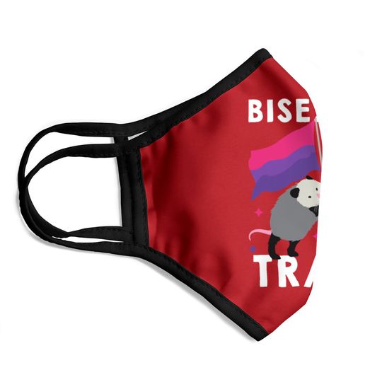 Bisexual Trash Gay Pride Rainbow LGBT Raccoon Face Masks
