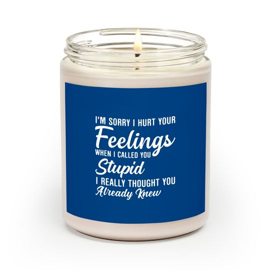 Im Sorry I Hurt Your Feeling Called You Stupid Scented Candles