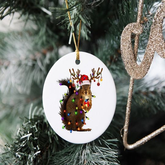 Christmas Squirrel Lights Ornament Gift Vintage