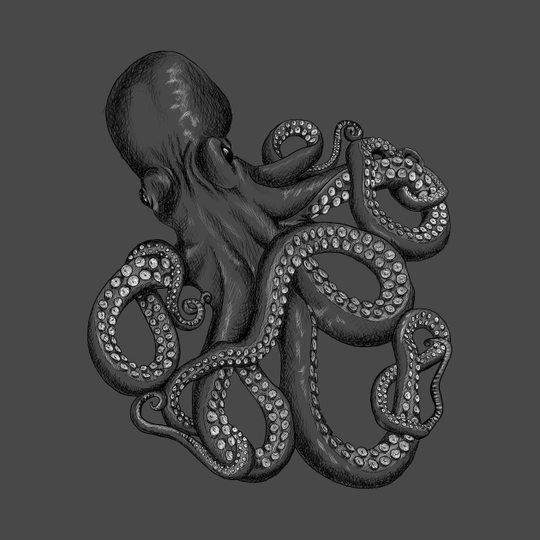 Realistic Octopus - Two Tone - Octopus - T-Shirt