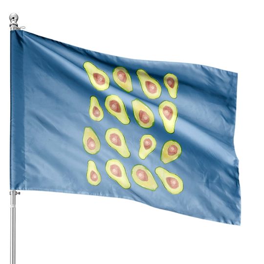 Holy Guacamole House Flags, Avocado House Flags, Guacamole House Flags House Flags