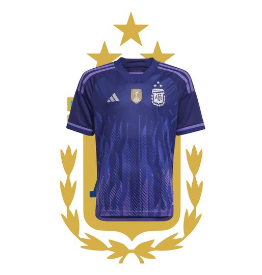 Argentina Adult Jersey Soccer World Cup champions