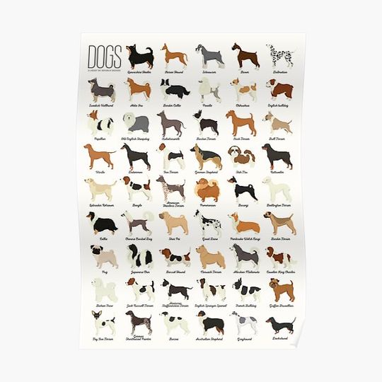 Dog Breeds Premium Matte Vertical Poster