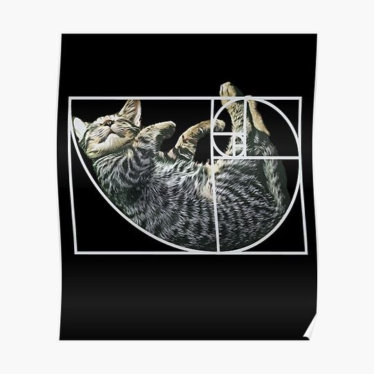 Golden Ratio Fibonacci Cat Fibonacci's Spiral Kitty Premium Matte Vertical Poster