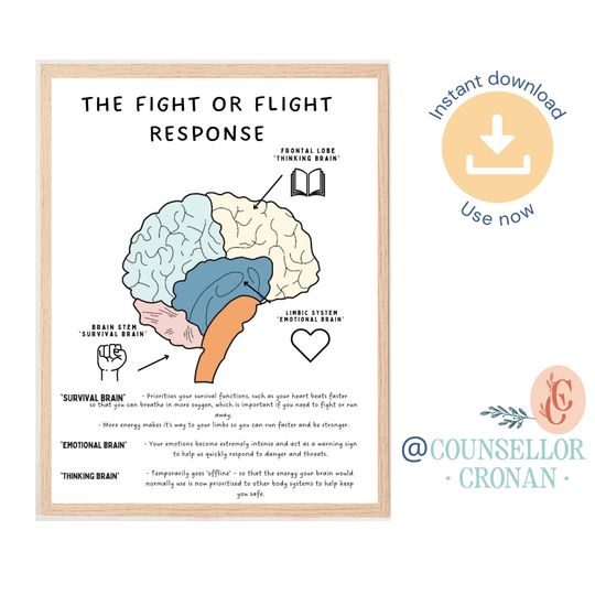The fight or flight response to the brain, Brain Anatomy, Psychology, Therapy Office Decor, therapy office art, therapy poster