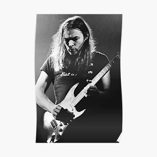 David Gilmour Art Print Pink Floyd Rock Music Legends Guitarist Poster Premium Matte Vertical Poster