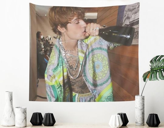 Justin Bieber Tapestry Funny tapestry Meme Hippe Tapestries