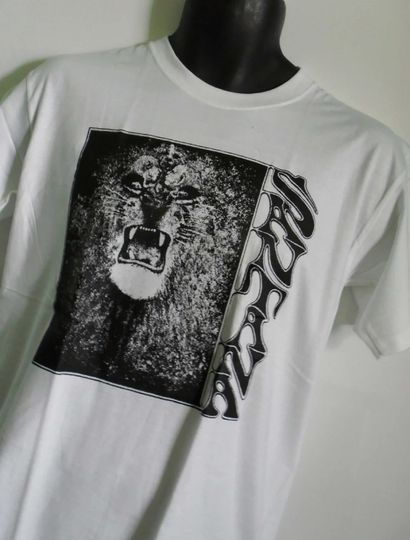 Santana Gift Tee: Unisex T-Shirt for Fans of the Musician