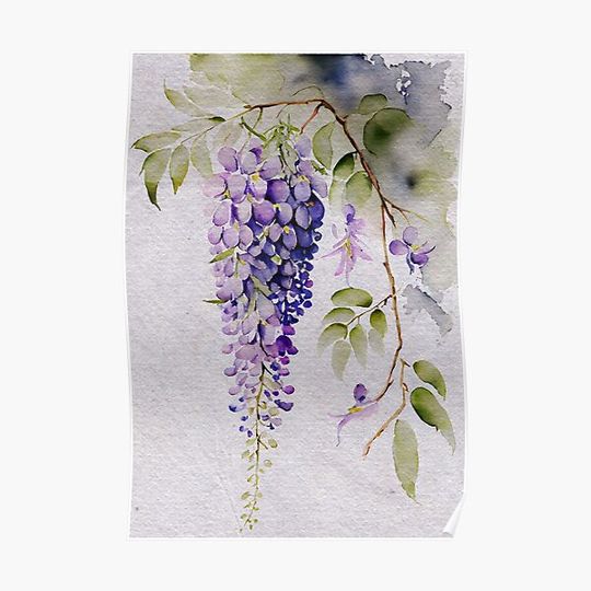Watercolor Purple Flowering Wisteria Premium Matte Vertical Poster