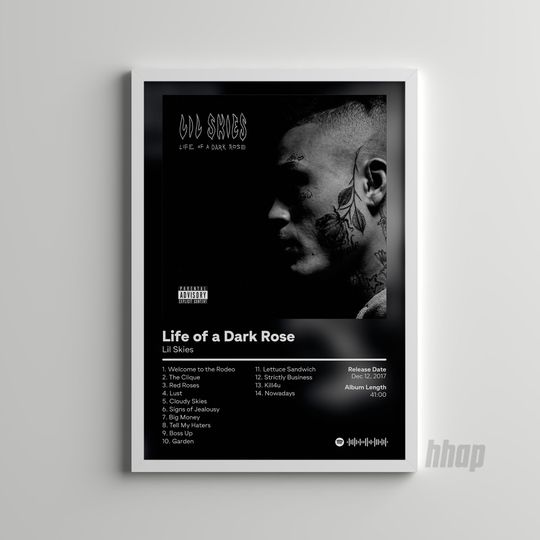 Lil Skies - Life Of A Black Rose - Album Poster