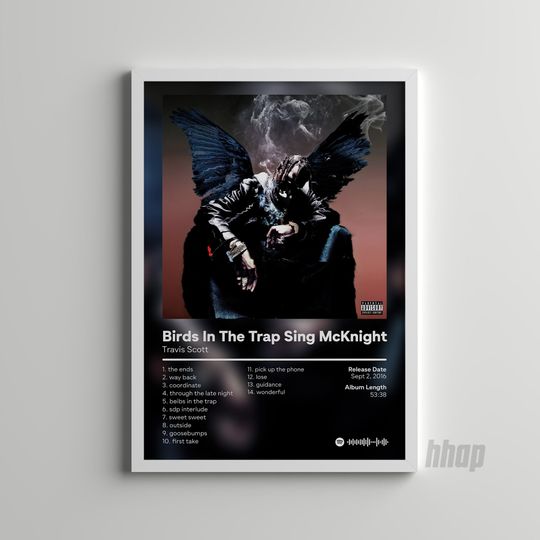 Travis - Birds In The Trap Sing McKnight - Album Poster