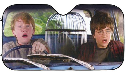 Hermione Granger And Harry Potter Driving Auto Sun Shade