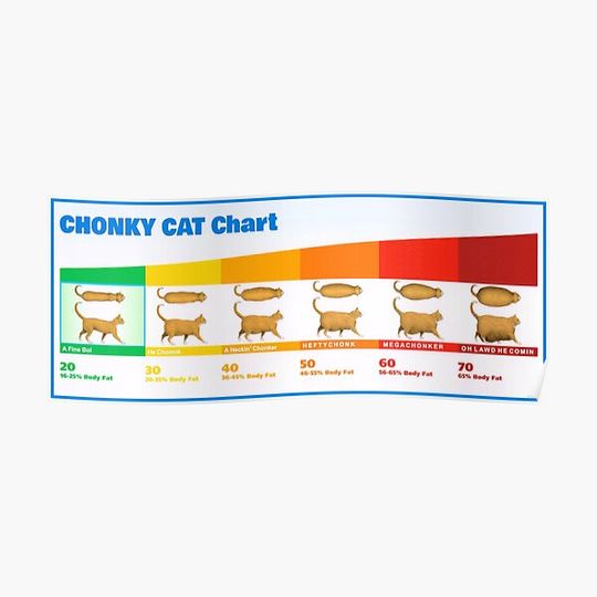 Chubby Chonky Cat Chart Funny Chonk Meme (Oh Lawd He Comin) Premium Matte Vertical Poster
