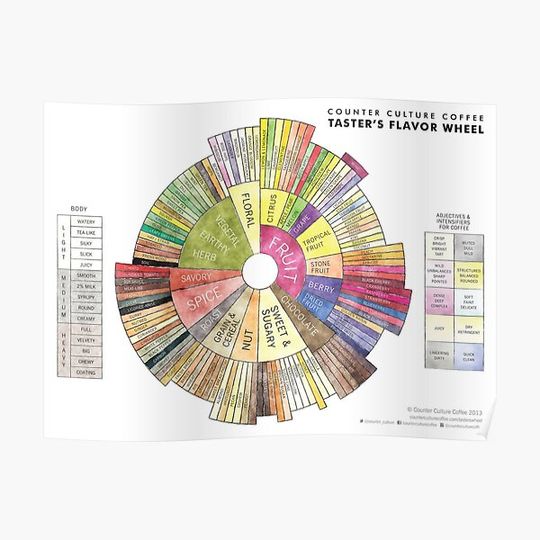 Pop Chart Coffee Taster's Flavor Wheel Premium Matte Poster