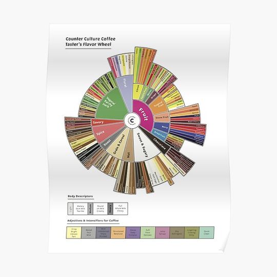 Pop Chart Counter Culture Coffee Taster's Flavor Wheel Premium Matte Vertical Poster