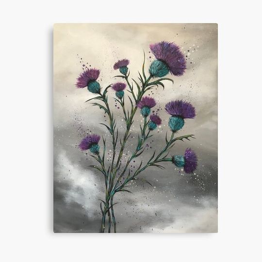 Scottish traditional purple thistle Canvas