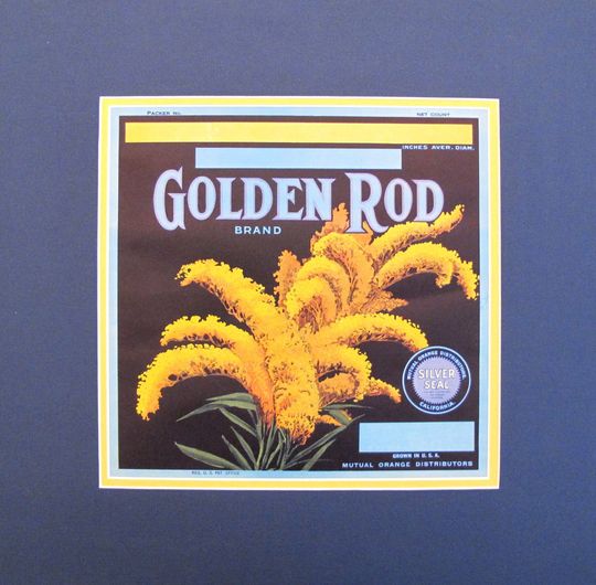 1930 - 1940 Original Vintage Flower Seeds Label - "Golden Rod"
