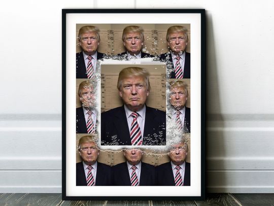 Donald Trump Mugshot Print | Donald Trump Poster | Wall Art Prints, Trump Poster