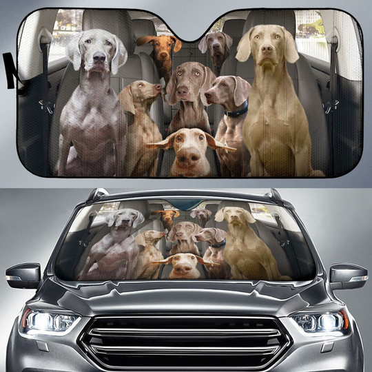 Weimaraner Dog Family Go On A Trip Dog Lovers Car Windshield Sun Shade